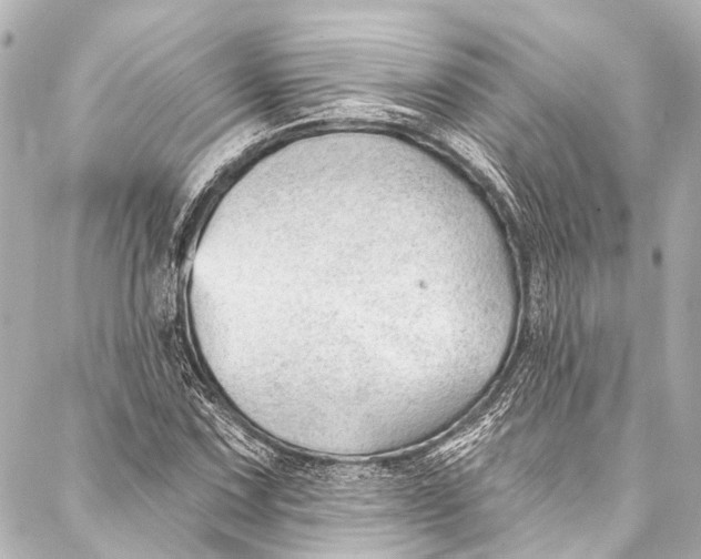 X0000087031067200705071529