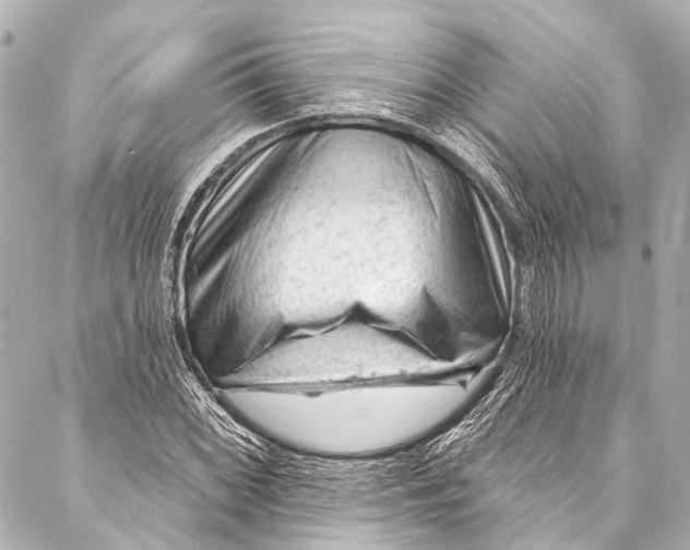 X0000087031068200705071529