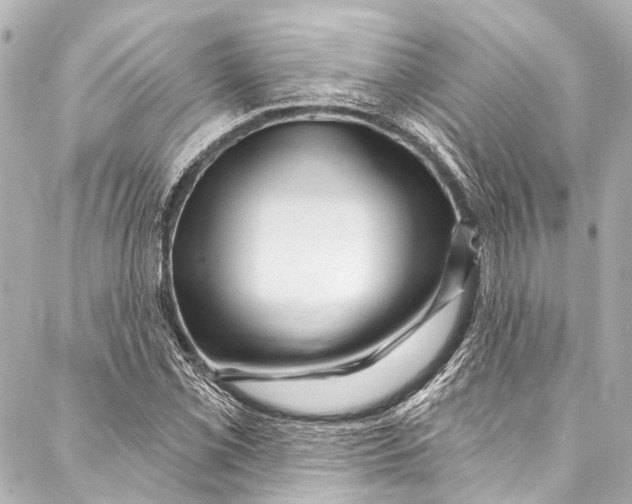 X0000087031069200705071529