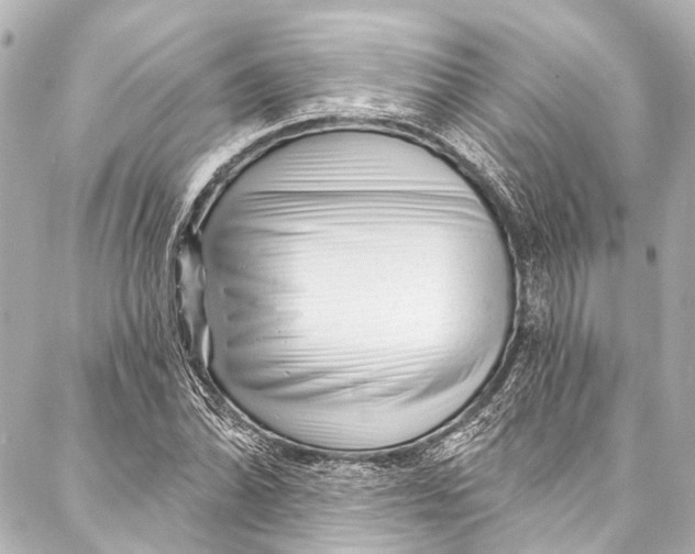 X0000087031070200705071529