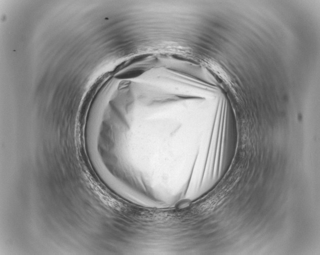 X0000087031072200705071529