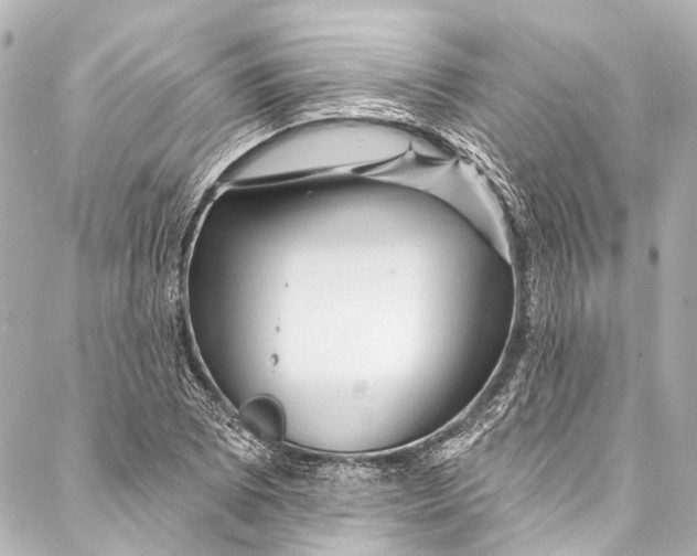 X0000087031073200705071529