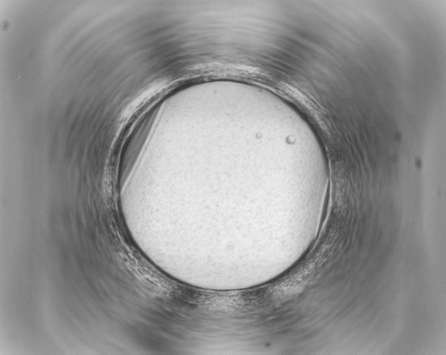 X0000087031074200705071529