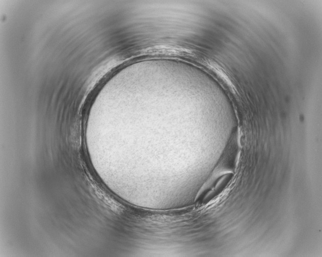 X0000087031075200705071529