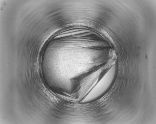 X0000087031076200705071529