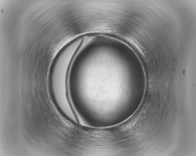 X0000087031077200705071529