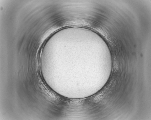 X0000087031078200705071528