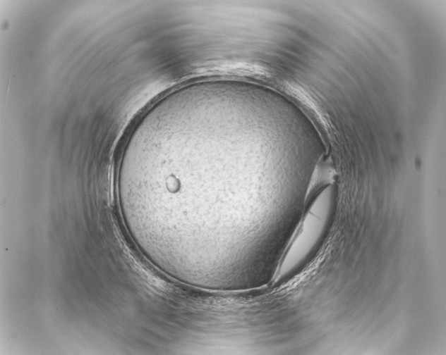 X0000087031079200705071528