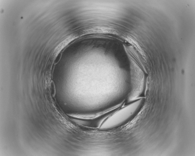 X0000087031081200705071528