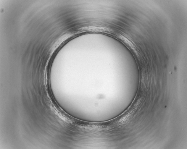 X0000087031082200705071528