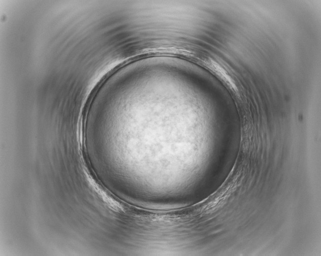 X0000087031084200705071528