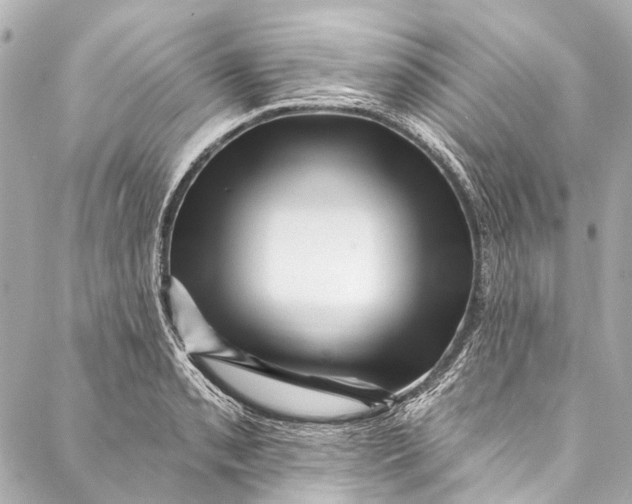 X0000087031085200705071528