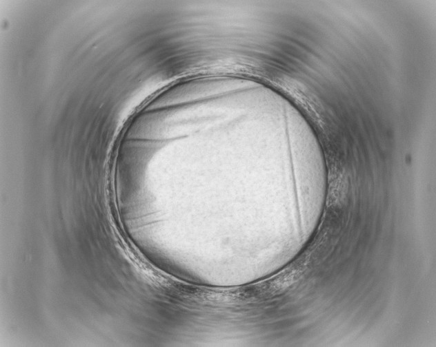 X0000087031086200705071528