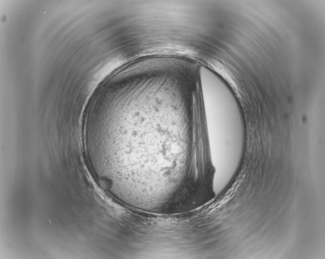 X0000087031087200705071528