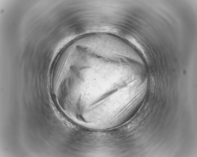 X0000087031088200705071528