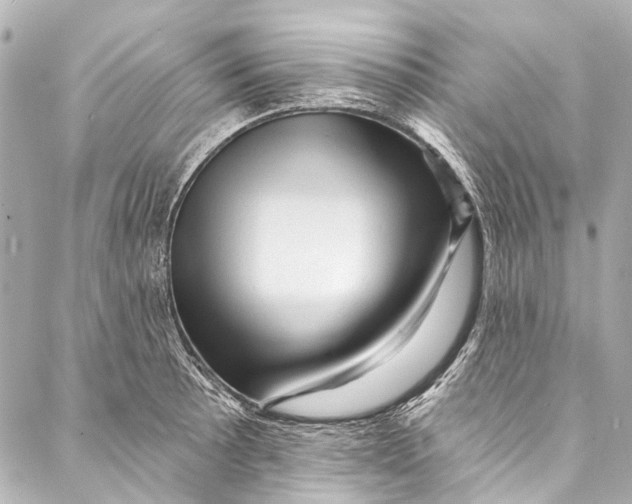 X0000087031089200705071528