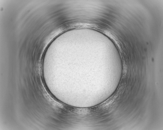 X0000087031090200705071528