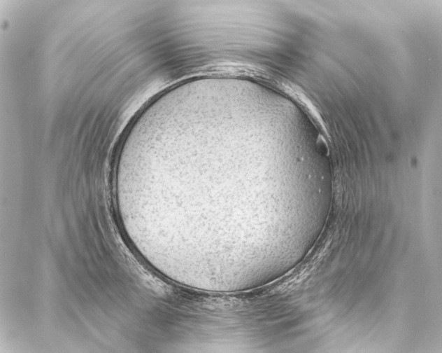 X0000087031091200705071528