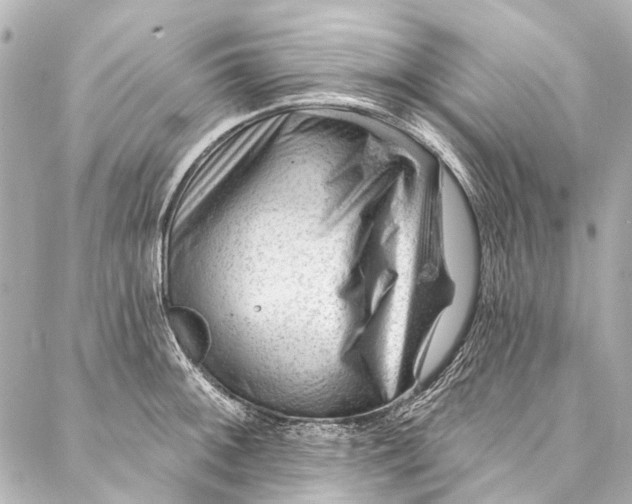 X0000087031092200705071528