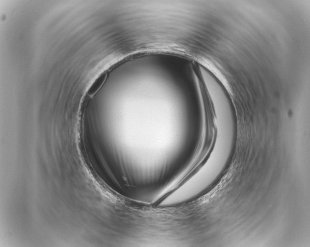 X0000087031093200705071528