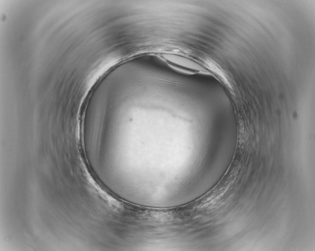 X0000087031095200705071528