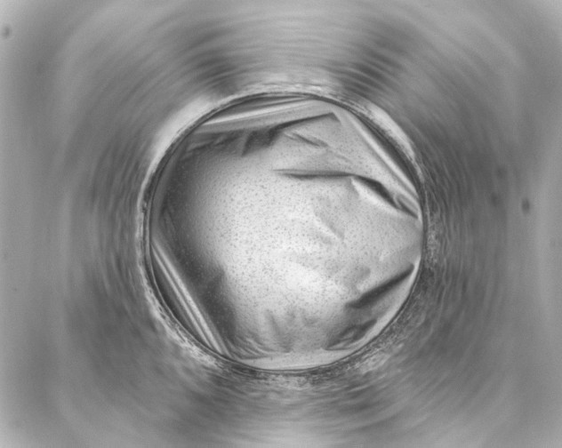 X0000087031096200705071528