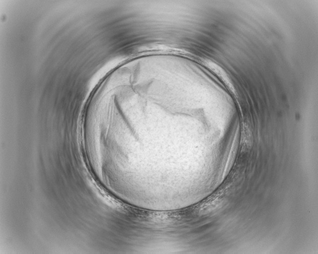 X0000087031098200705071528