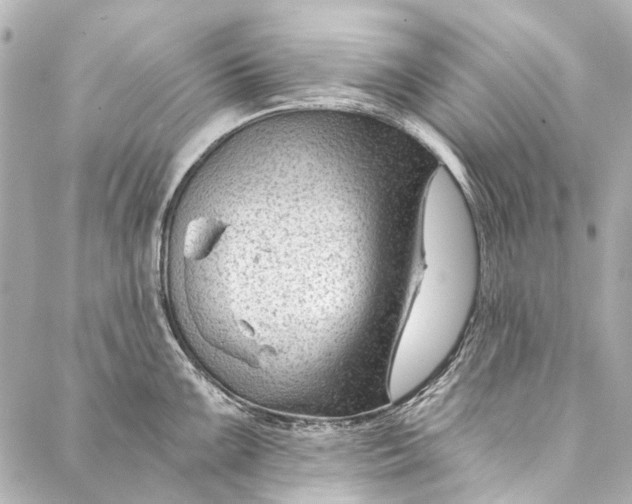 X0000087031099200705071528