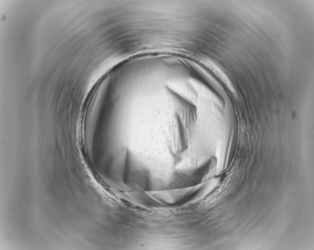 X0000087031101200705071528