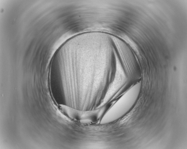 X0000087031102200705071528