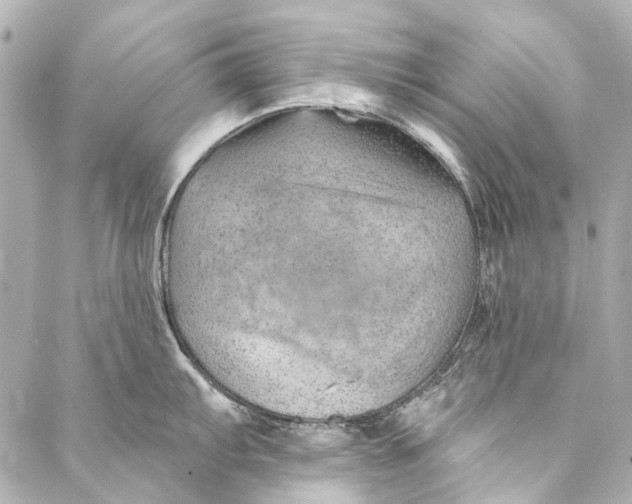 X0000087031103200705071528