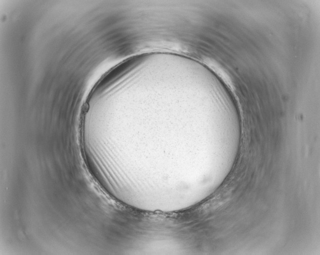 X0000087031104200705071528