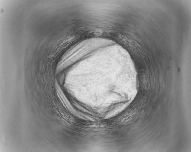 X0000087031105200705071527