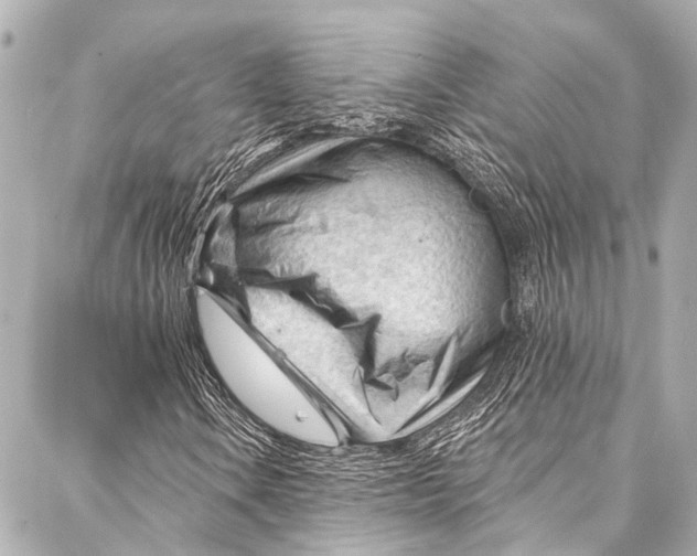 X0000087031106200705071527