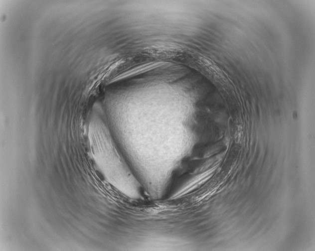 X0000087031108200705071527