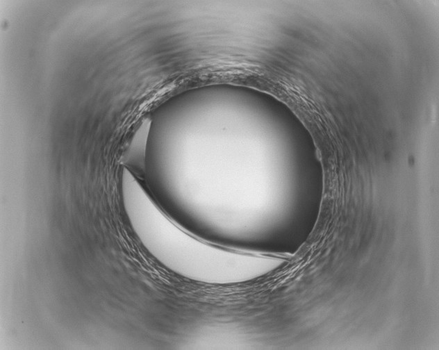 X0000087031109200705071527