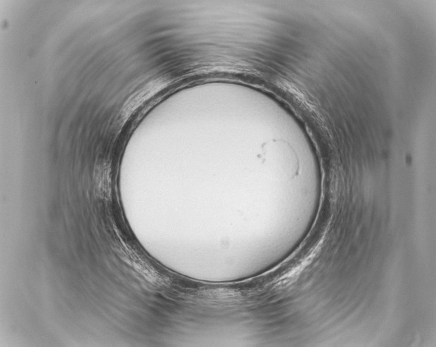 X0000087031113200705071527