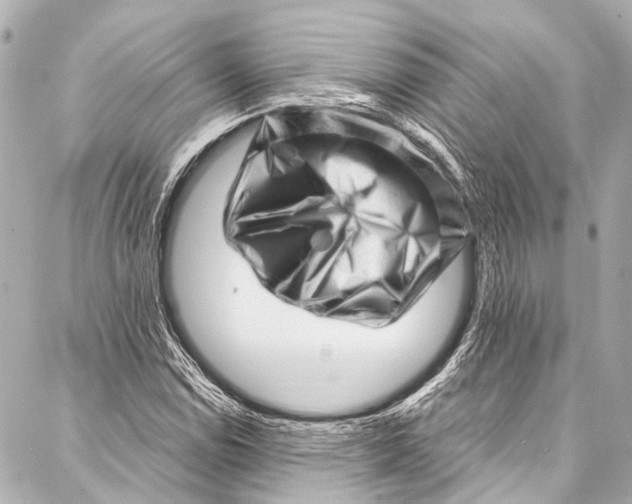 X0000087031114200705071527