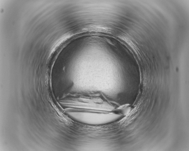 X0000087031115200705071527