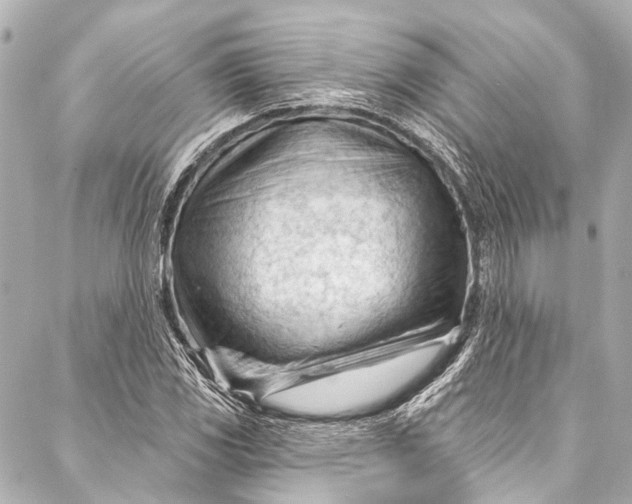 X0000087031117200705071527