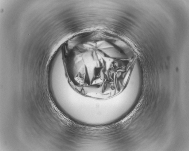 X0000087031118200705071528