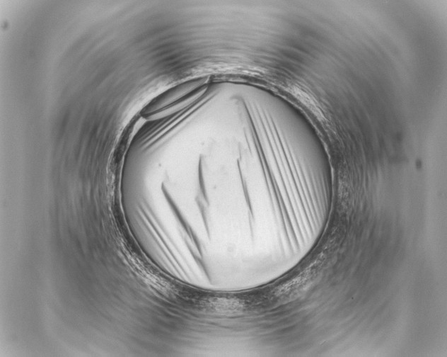 X0000087031119200705071528