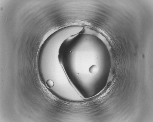 X0000087031122200705071528