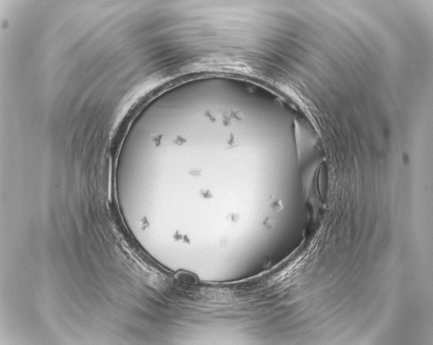 X0000087031123200705071528