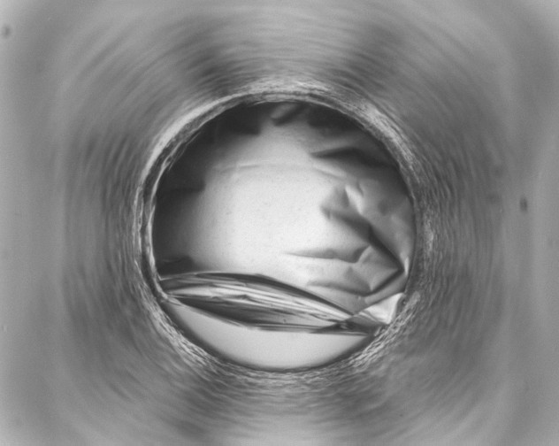 X0000087031124200705071528