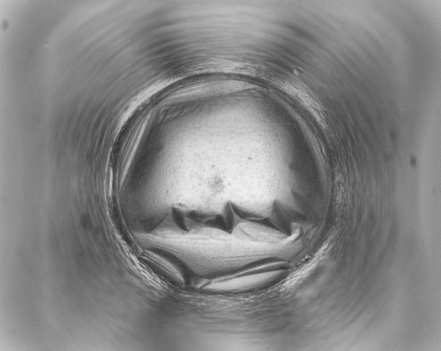 X0000087031125200705071528