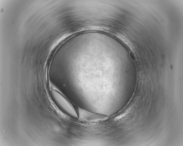 X0000087031127200705071528