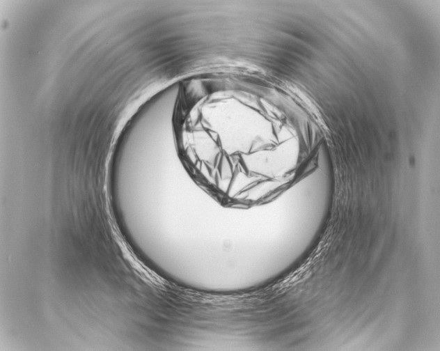 X0000087031128200705071528