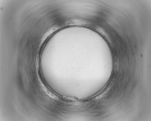 X0000087031130200705071528