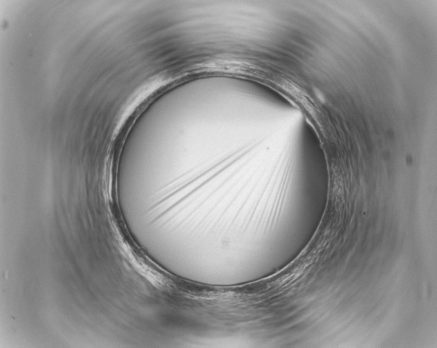 X0000087031131200705071528